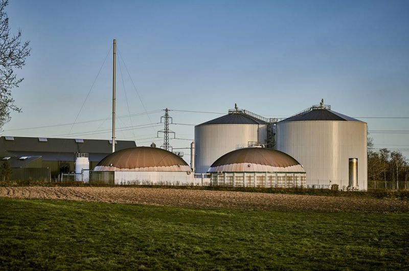 Solrød Biogas' anlæg: To store runde siloer i lyst metal og to brune, runde kupler. Himmelen er blå og foran anlægget er der grønt græs